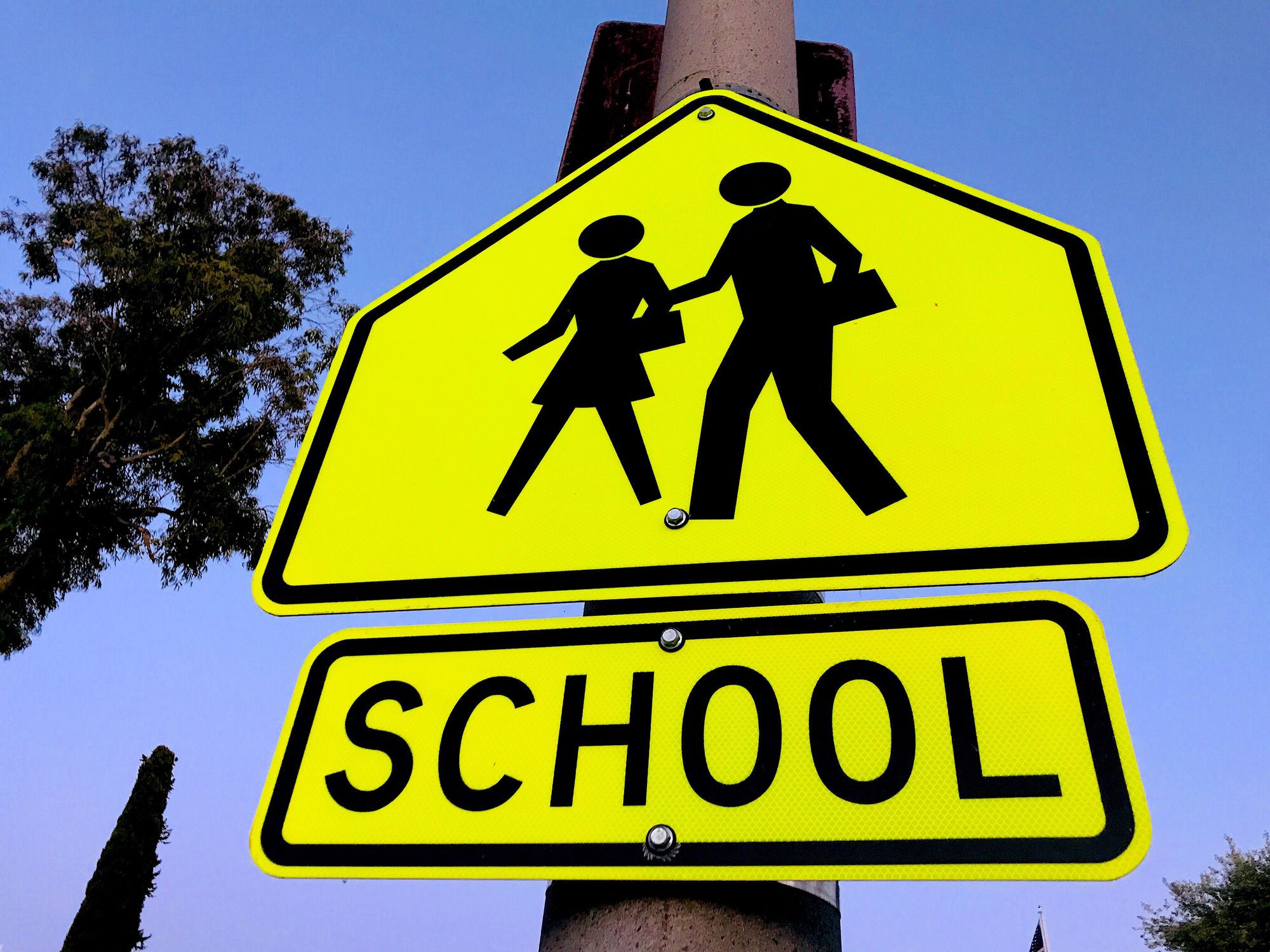 Woolwich investigates traffic woes around Breslau school