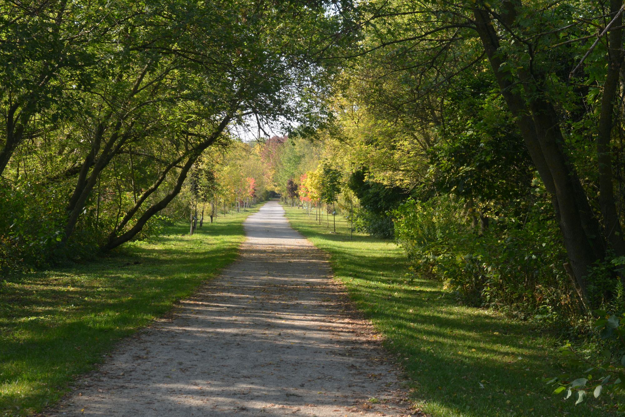 Study shows Trans Canada Trail system provides a range of benefits