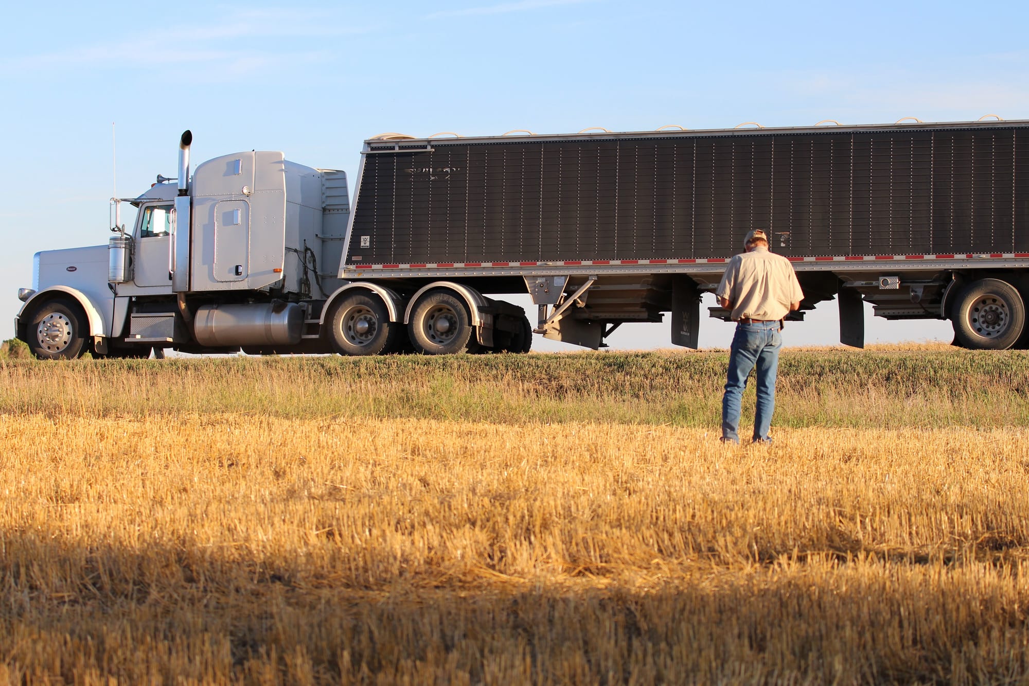 New event aims for longer-term planning in agri-food sector