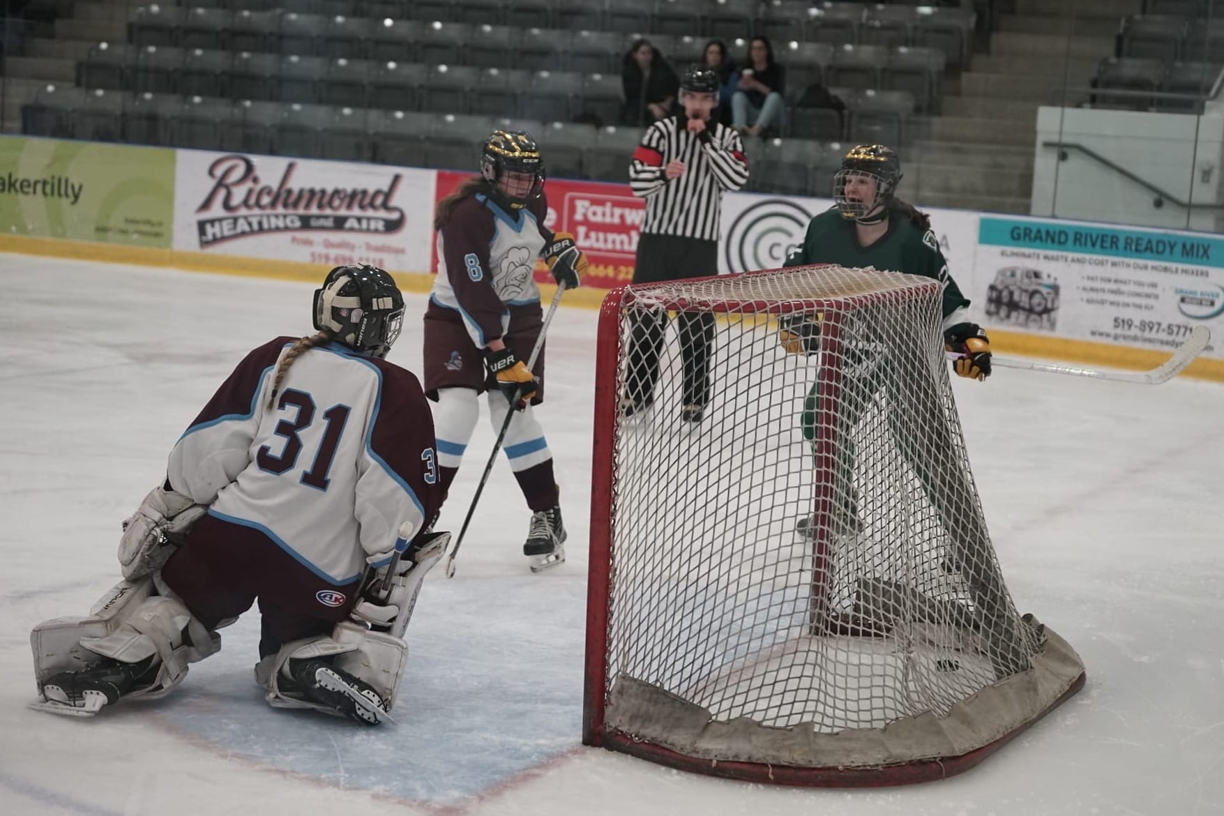 EDSS teams capture county hockey titles, head to regionals