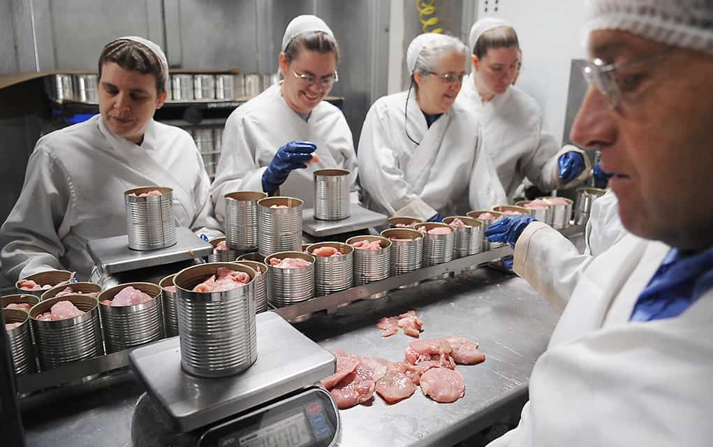 Plenty of volunteers for this meaty, handson activity