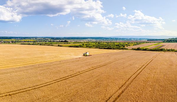 Farm safety event set  for June 3  in West Montrose