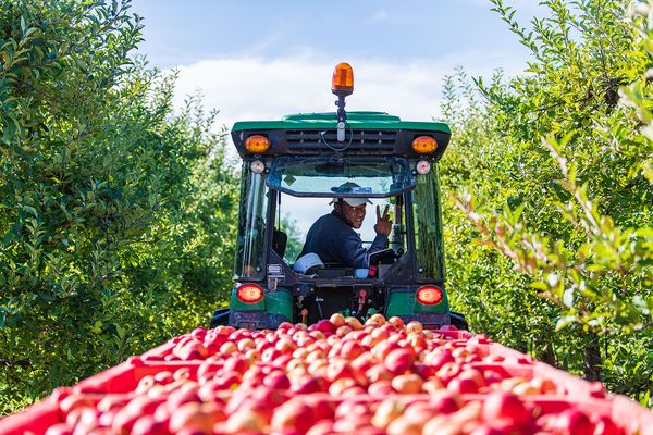 Temporary foreign workers part of the plan