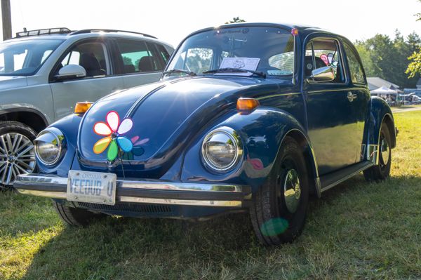 VW fans bugging out to Heidelberg July 9