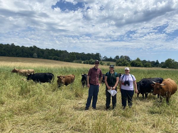 Reversing provincial plan to allow more housing on farm properties is just the start