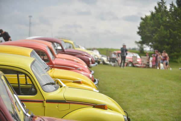 41st annual Bug Out