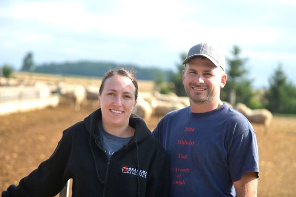 Plenty of opportunity in the sheep industry