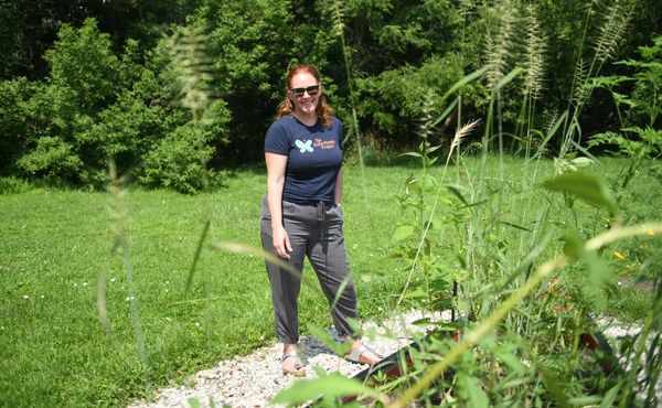 Improving the environment the butterflyway