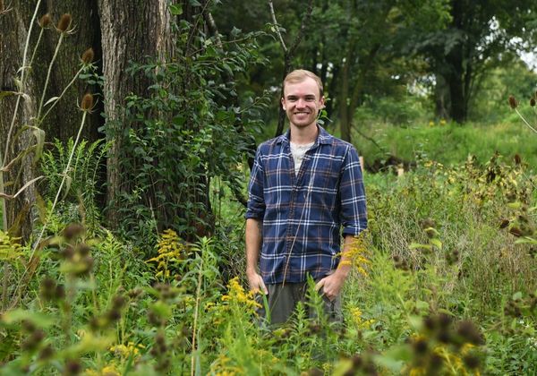 Contest highlights the importance of mature trees