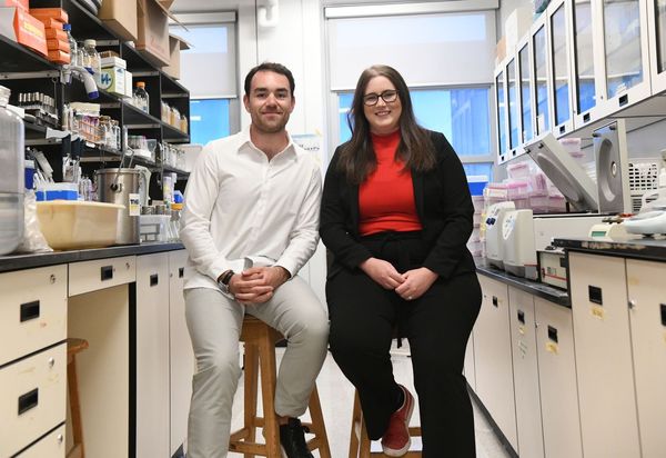 Dairy waste a part of bid to make biodegradable plastic