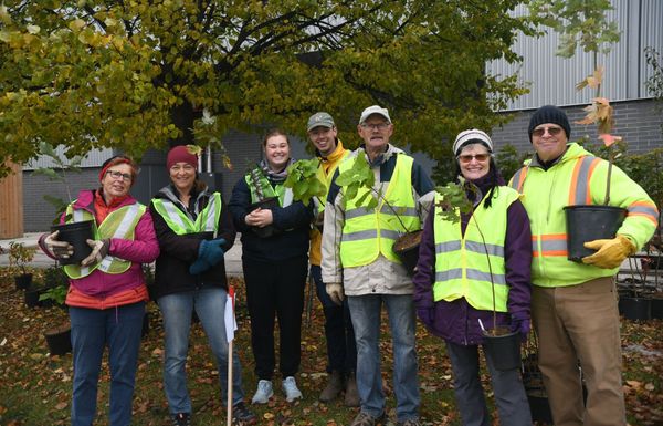 Woolwich Tree giveaway event