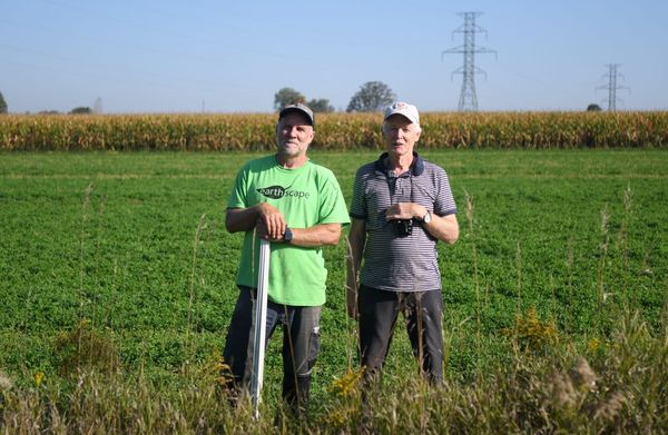 Bring Back the Maples project continues next week