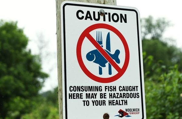 Lanxess study finds Canagagigue contaminants pose no unacceptable risk