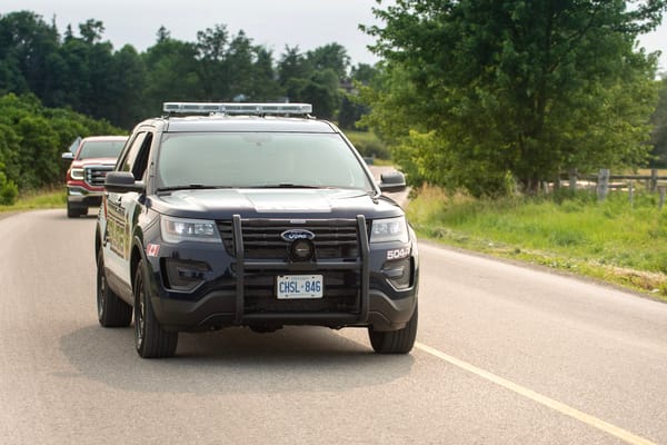 Police offer tips to reduce chance of hitting a deer