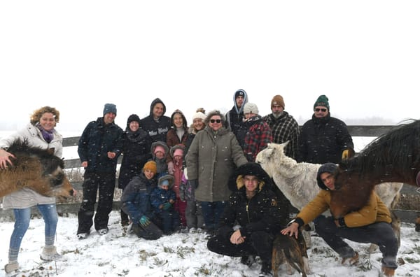 Firm withdraws bid to spread sewage on Breslau-area farm property