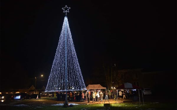 Paradise Lions to illuminate Tree of Light on Saturday