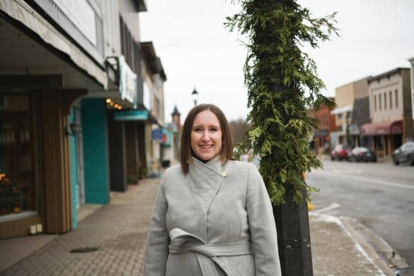 Elmira BIA seeks township help with grants program