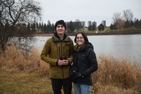 Doing the math on local bird population