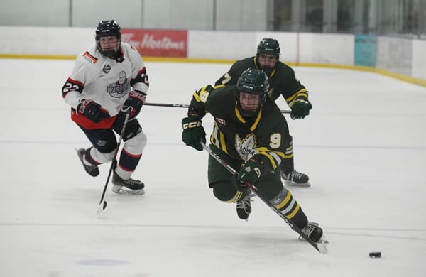 Kings find themselves with a rare losing weekend, dropping two games