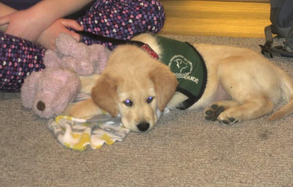 St. Boniface Catholic Women's League Meeting