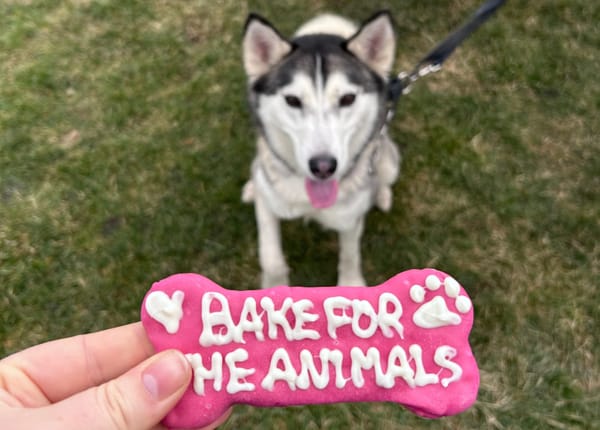 Baked goodies can be a boon for the Humane Society