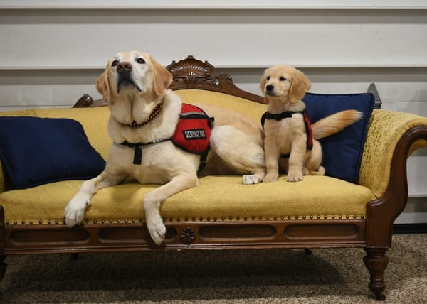 On a path from pup to provider