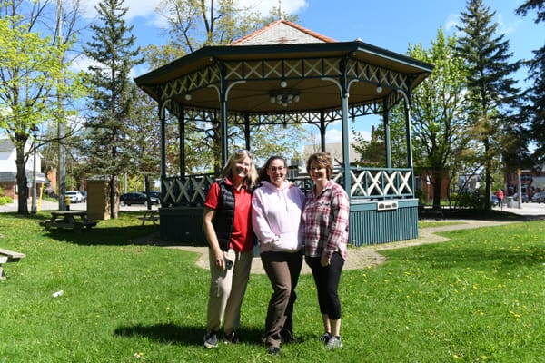 Downtown Elmira gets a boost with summer market