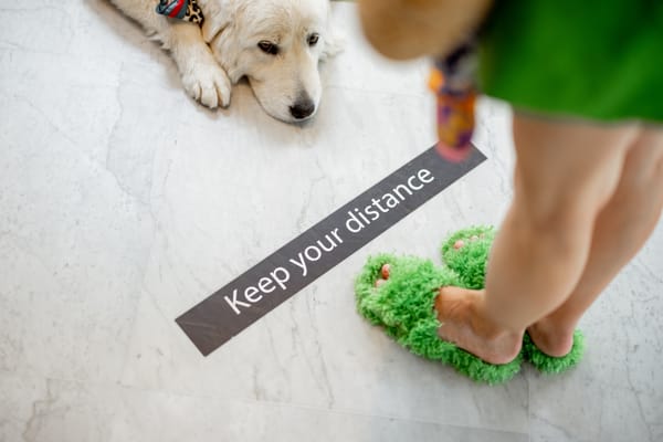 Some 1,500 high school students in region face suspension