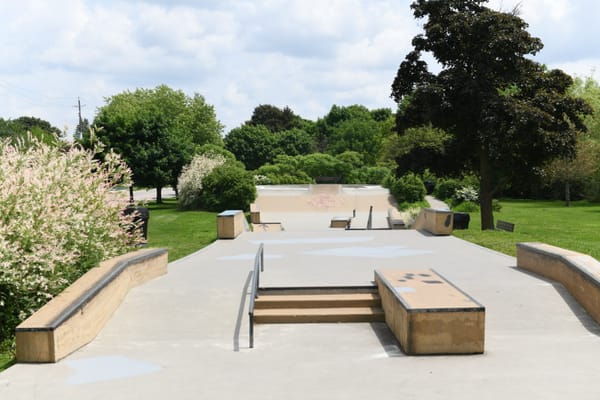 Elmira skatepark graffiti deemed a hate-motivated incident by police