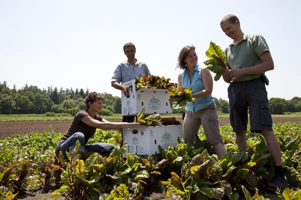 Provincial funding helps boost organic food sector