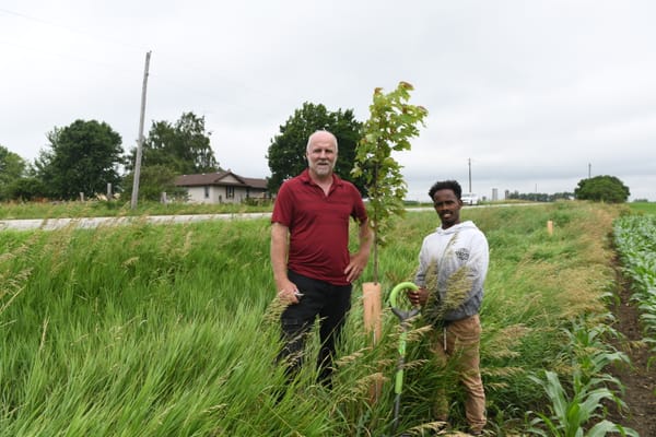 Roadside tree cover project is a labour of love on a shoestring budget
