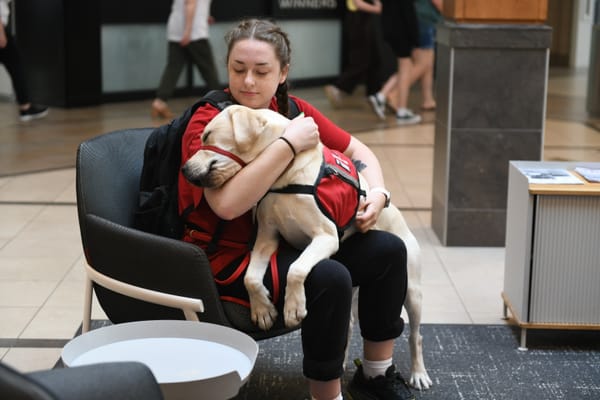 Pilot passes the test with flying colours