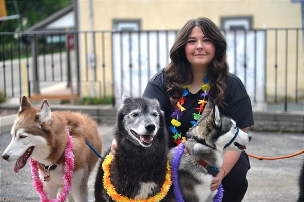 St. Jacobs event part of pack walk outings for dogs