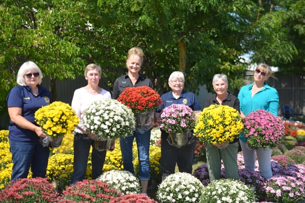 Woolwich Lions raise $2,000 for victims of Jasper wildfire