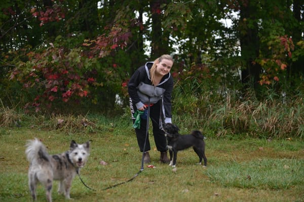 Above-normal temperatures expected as autumn arrives