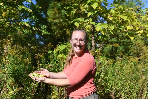 In the absence of mammoths, coffeetrees need human help