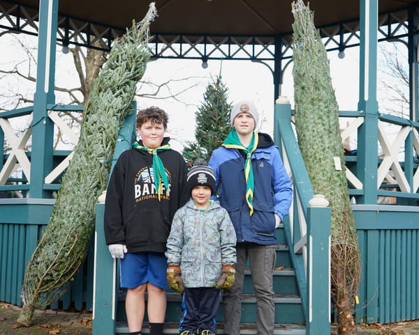 Selling Christmas trees a tradition for Elmira Scouts