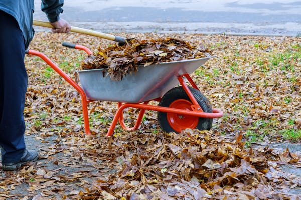 When it comes to readying your lawn for winter, fuss a lot or a little