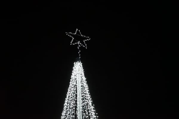 Paradise and District Lions Club lit up the night at the Tree of Light ceremony