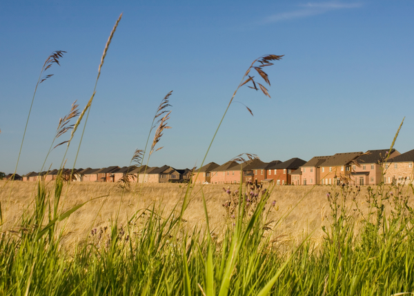 HomeGrown campaign notes local food available all through the year