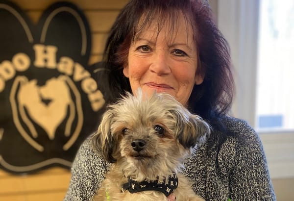 Finding suitable foster homes a limiting factor for dog-rescue operation