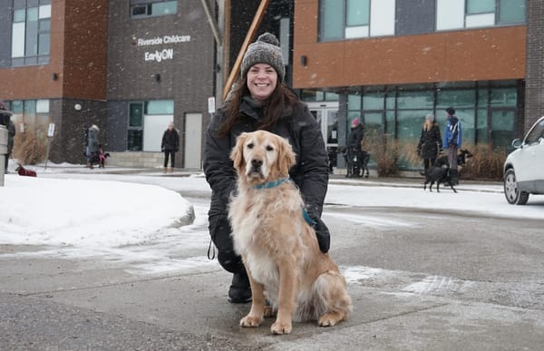 Group provides social outings for dogs ... and their owners