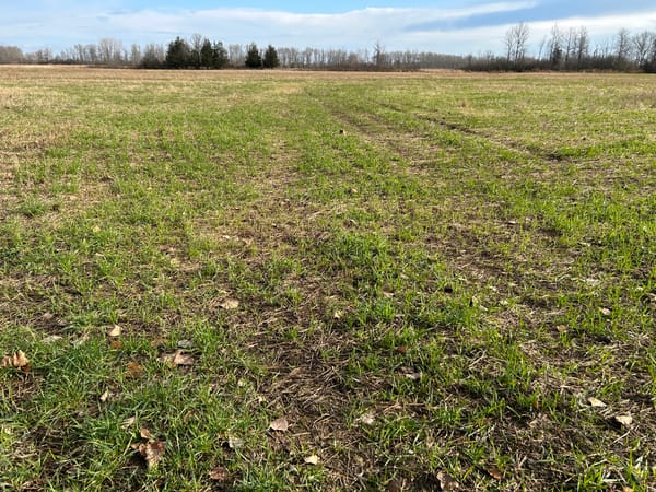 Ottawa boosts support for climate-action fund