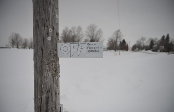 Farm business growth expected to slow in face of uncertainty