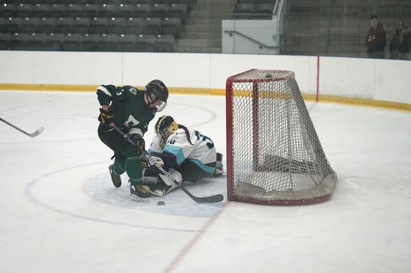 EDSS girls take hockey gold at CWOSSAA, head to provincials