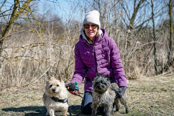 Spring arrives, with warmer temperatures expected to kick in