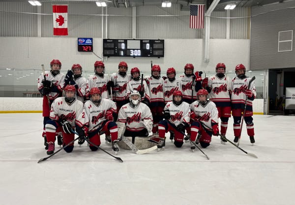 Woolwich Wild U15B squad claims division title