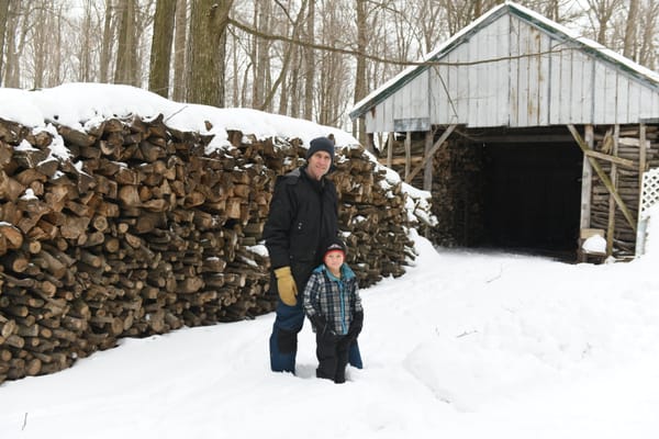 Sugar bush tours are a sap festival fixture