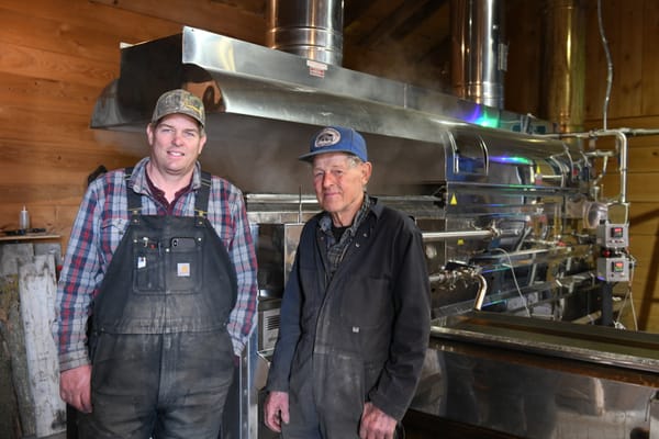 Local maple syrup producers likely tariff-proof in trade dispute with U.S.