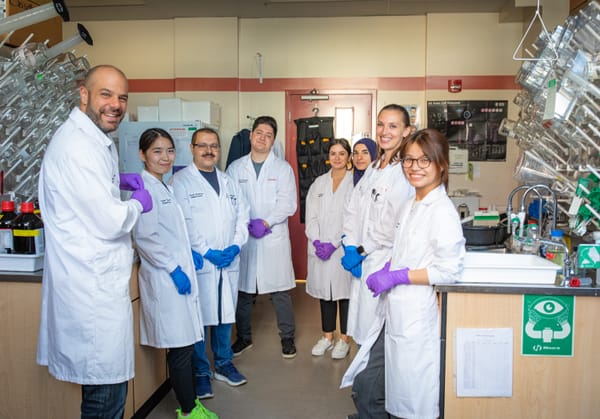 Researchers find cancer-treatment benefits from compound in avocados